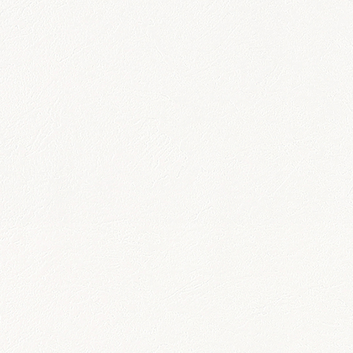 slp243