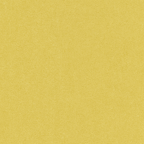 ba7099