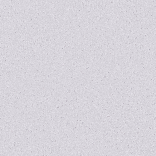 re55030