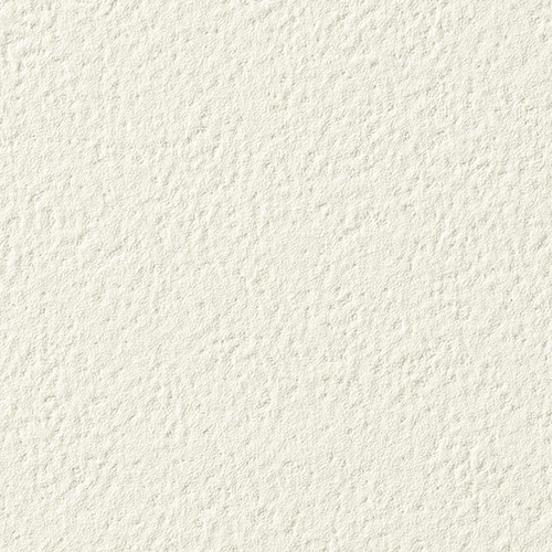 re55036