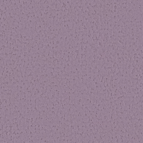 re55055