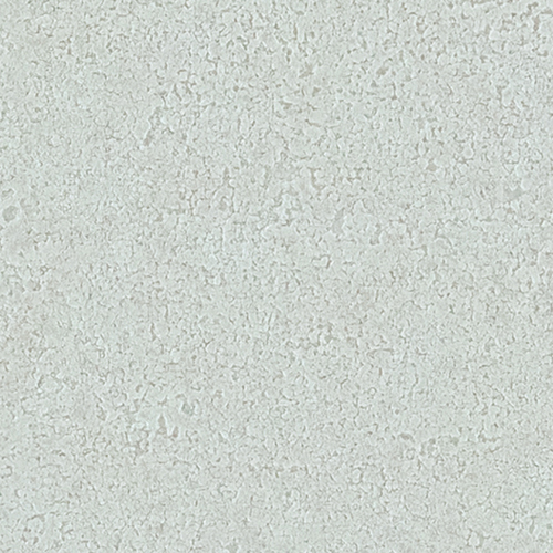 re55296
