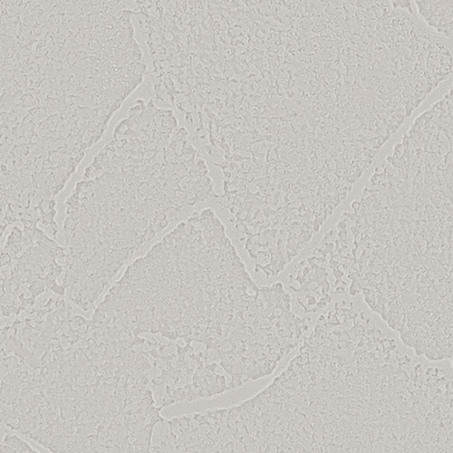 re55360