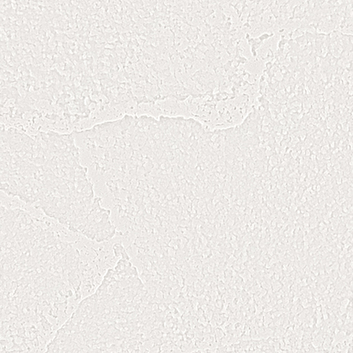 re55389
