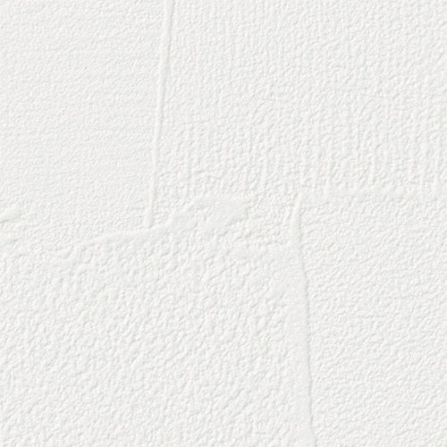 re55520