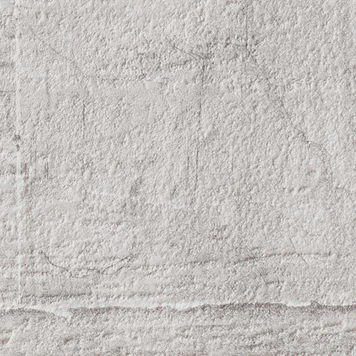 re55681