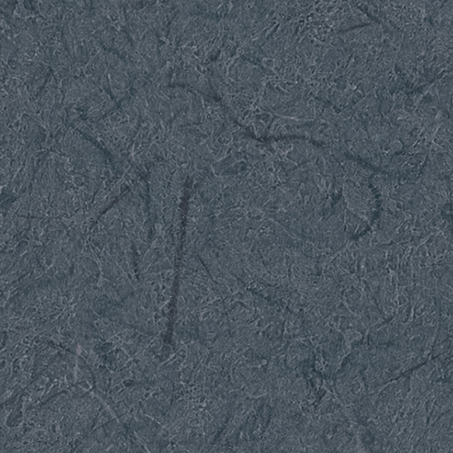 re55696