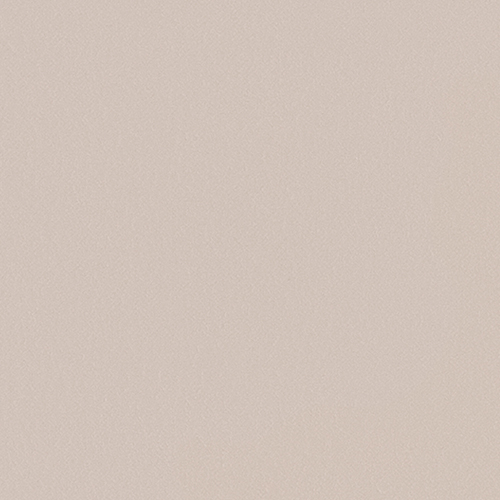 re55756