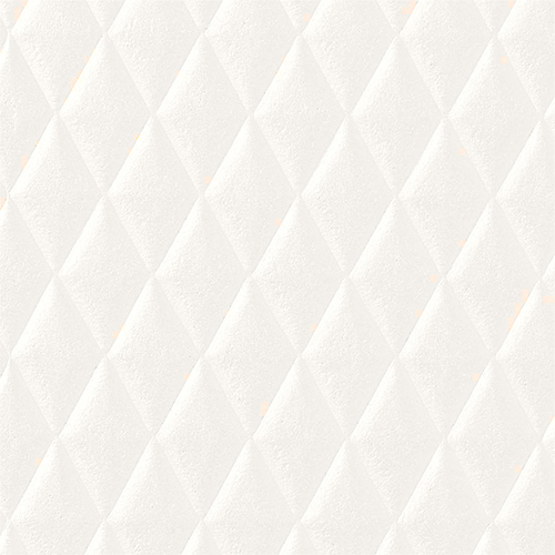 re55888