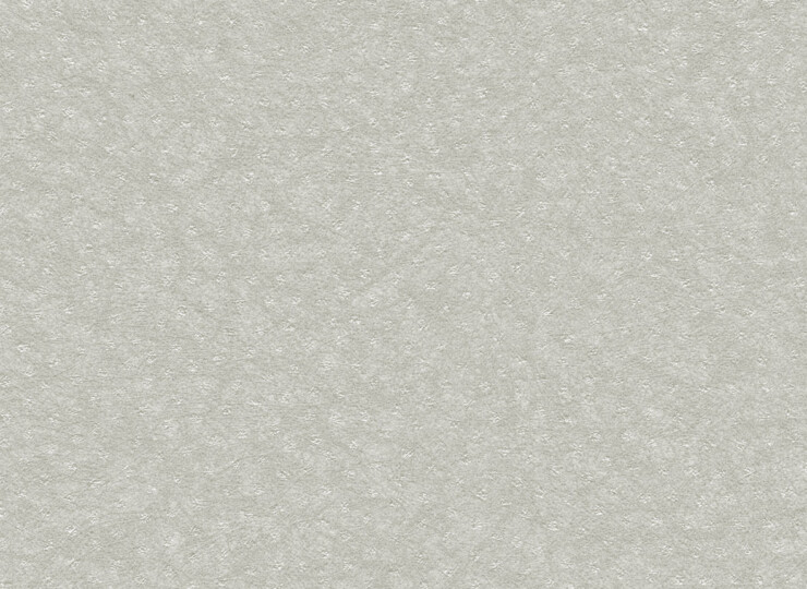 lw155