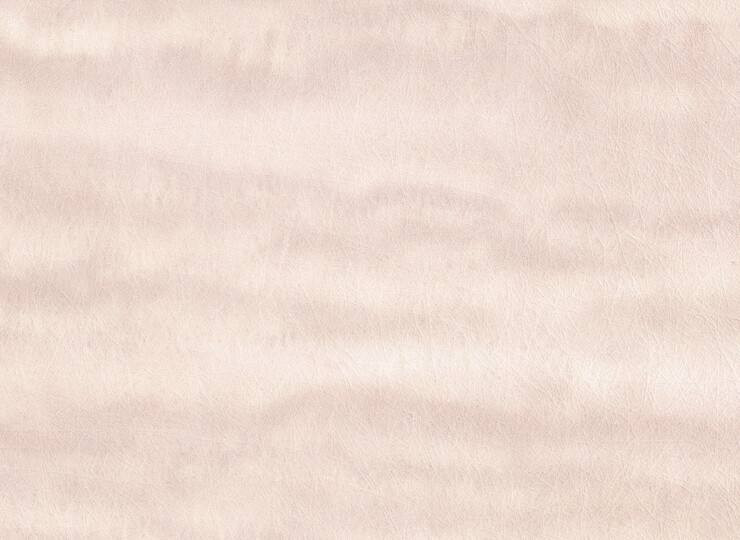 lw281