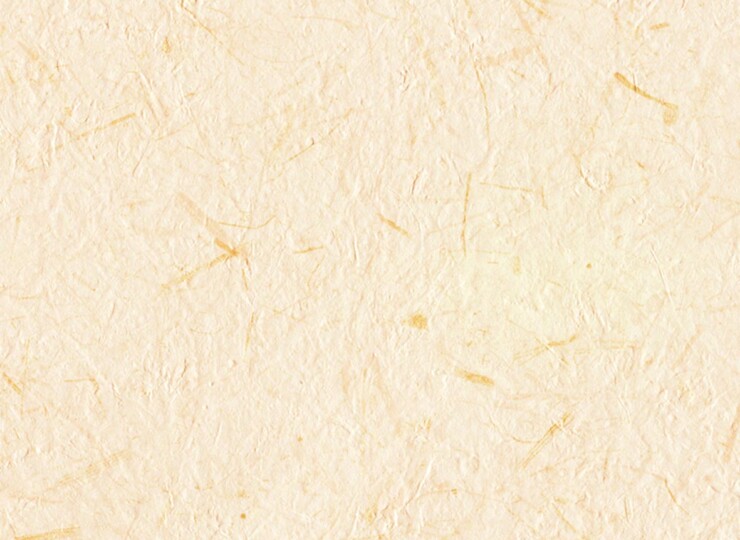 lw288