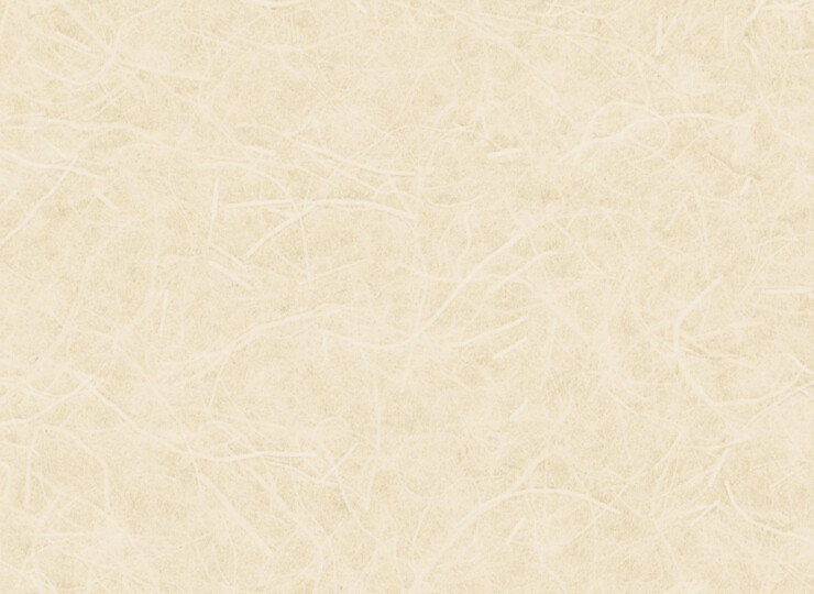 lw289