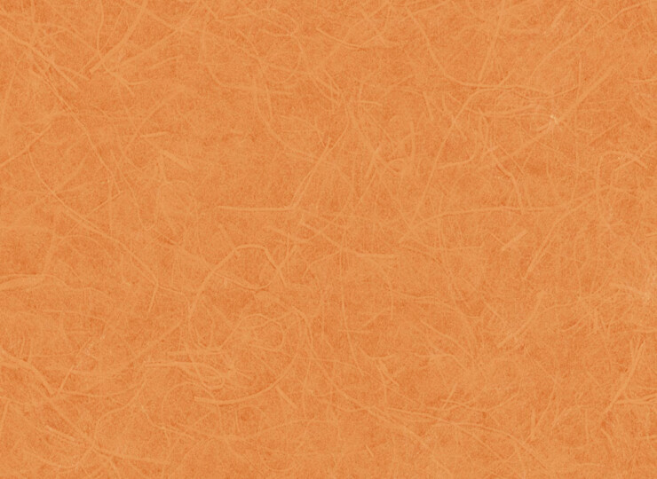 lw291