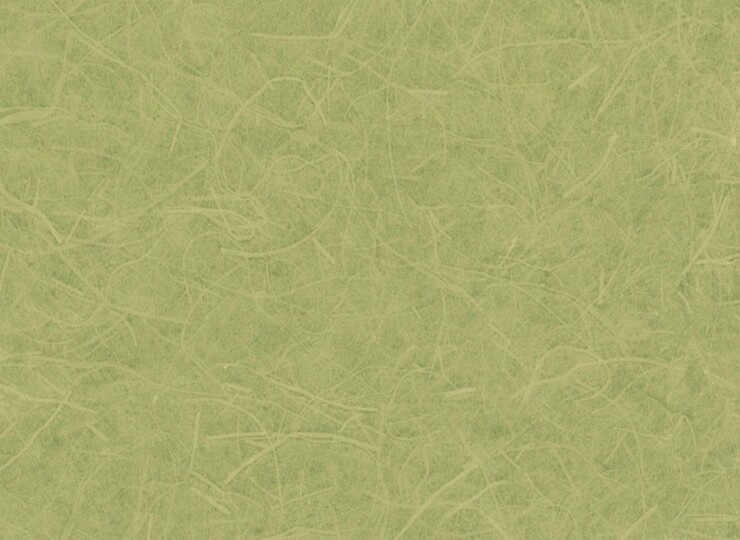 lw292