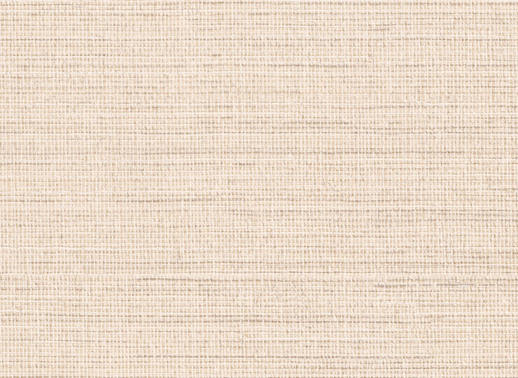 lw294