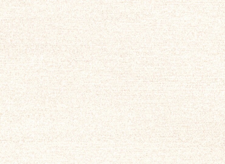 lw297