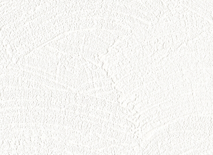 lw298