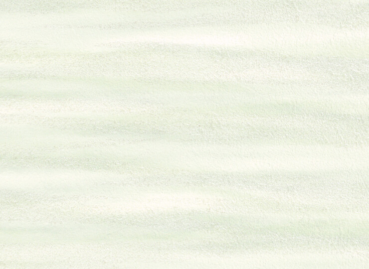 lw313