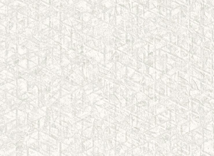 lw317