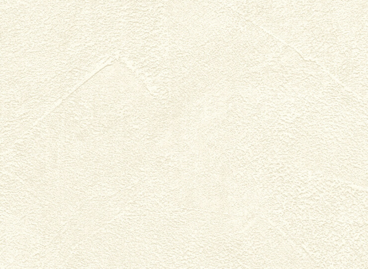 lw339