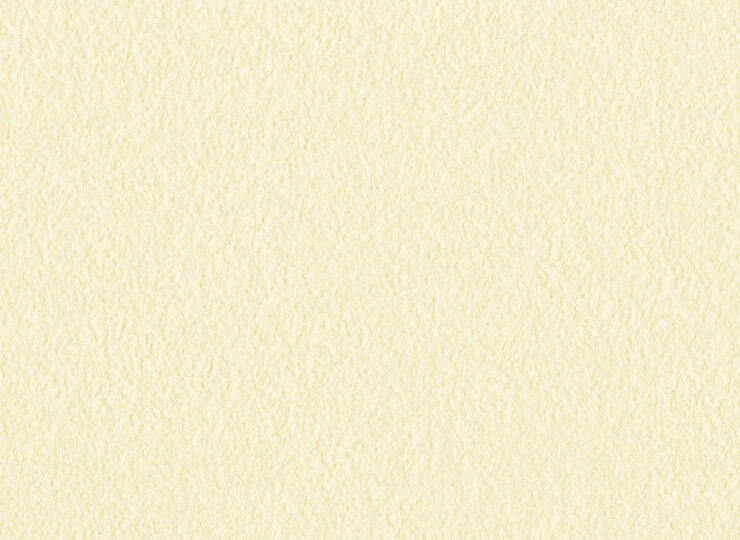 lw369