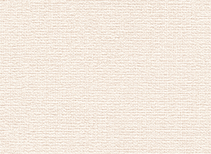lw381
