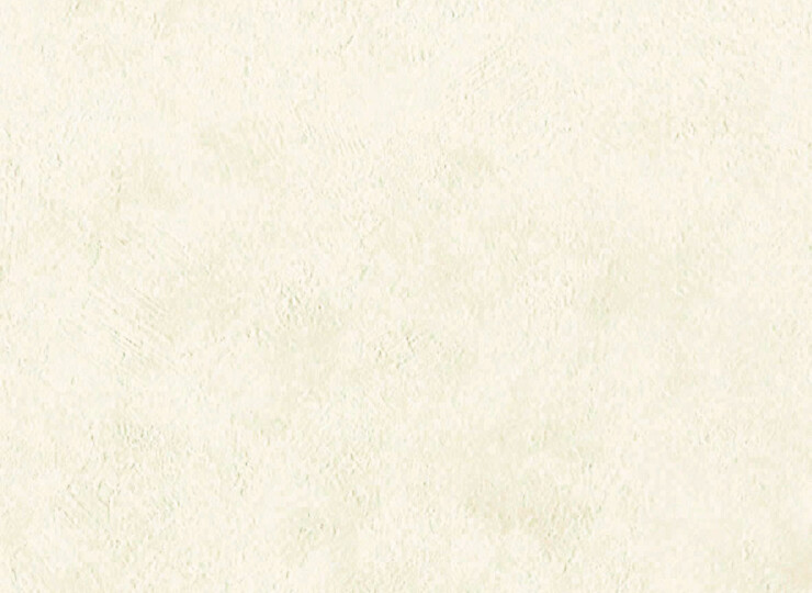 lw405