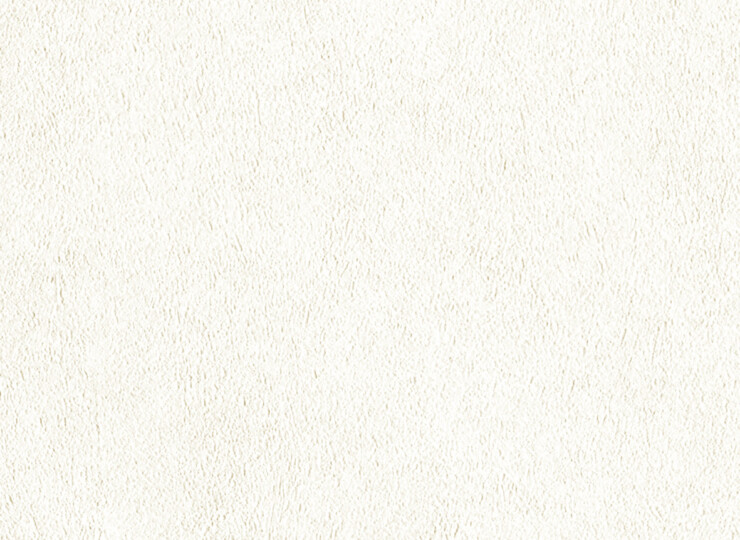 lw408