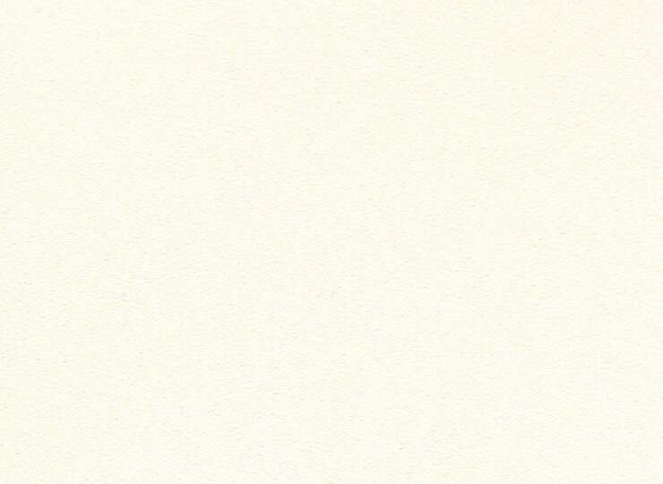 lw411