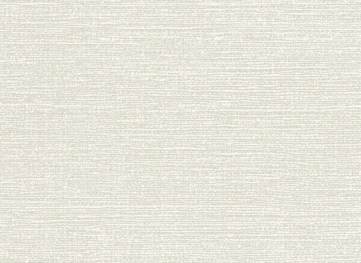 lw481