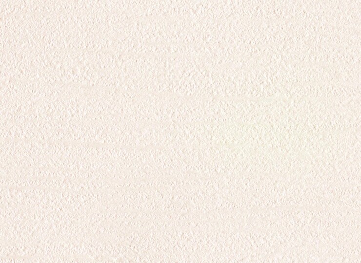 lw496