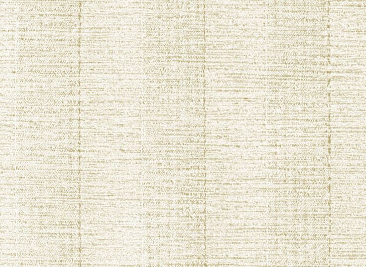 lw497