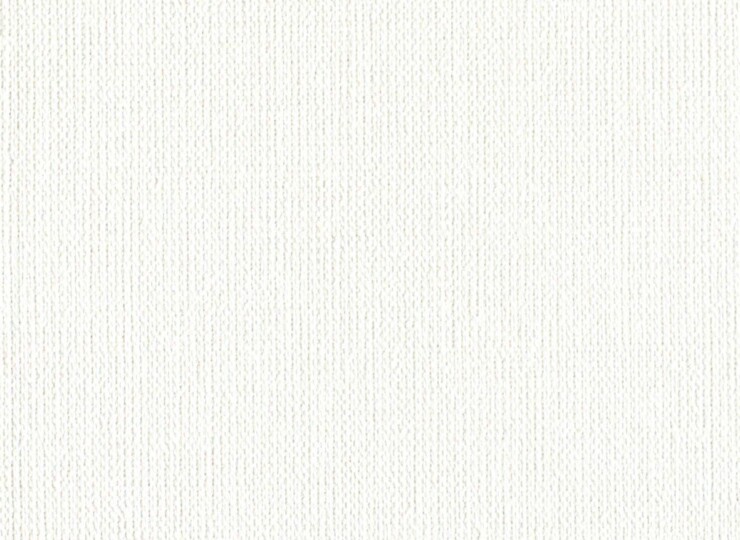 lw499