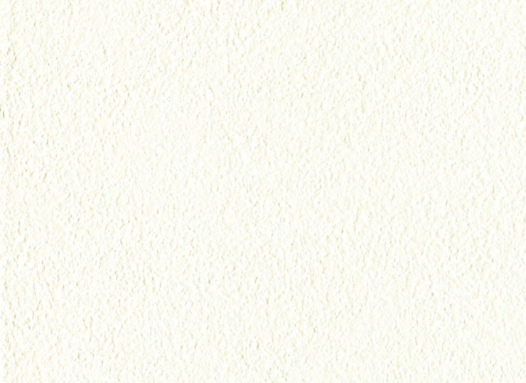 lw509