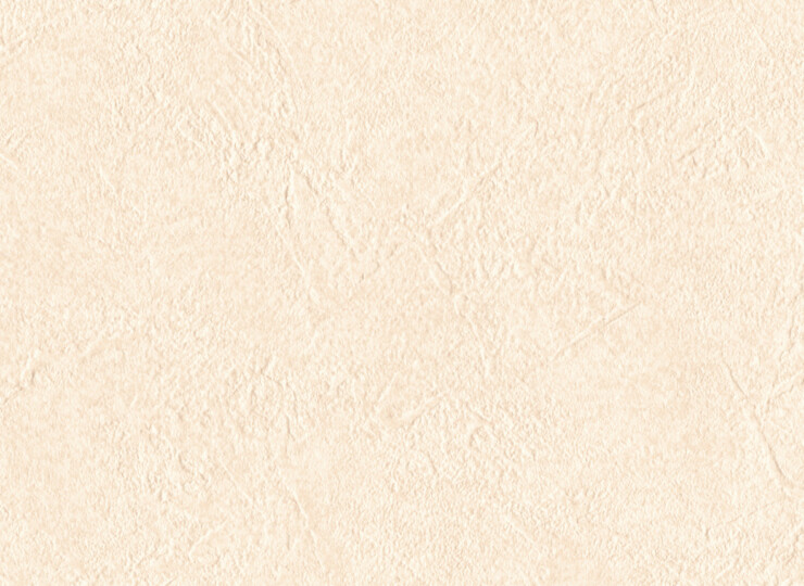lw517
