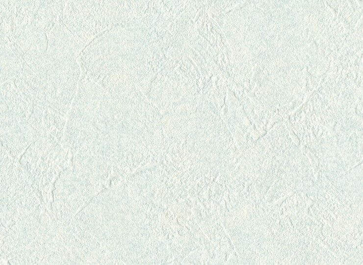 lw519
