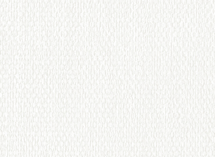 lw529