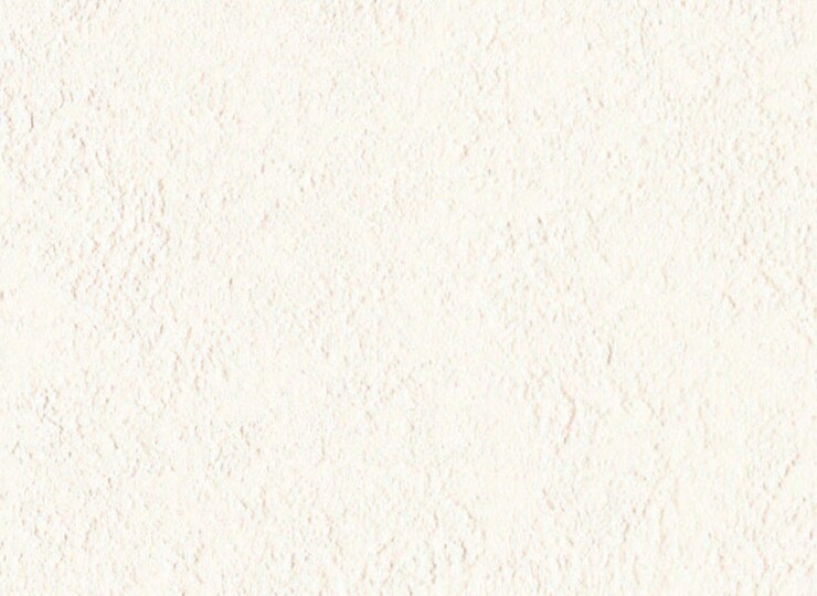 lw598