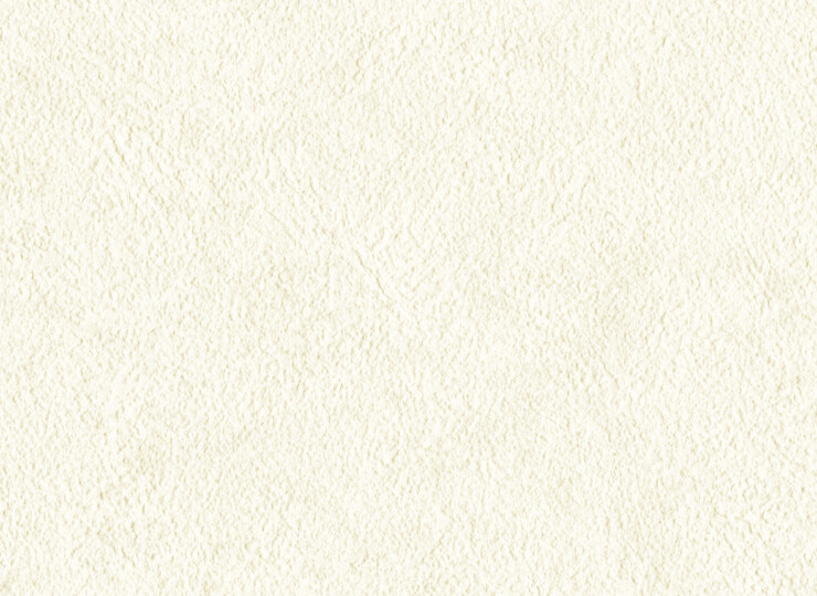 lw621