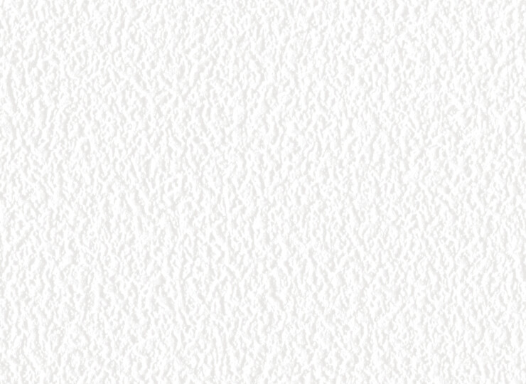 lw629
