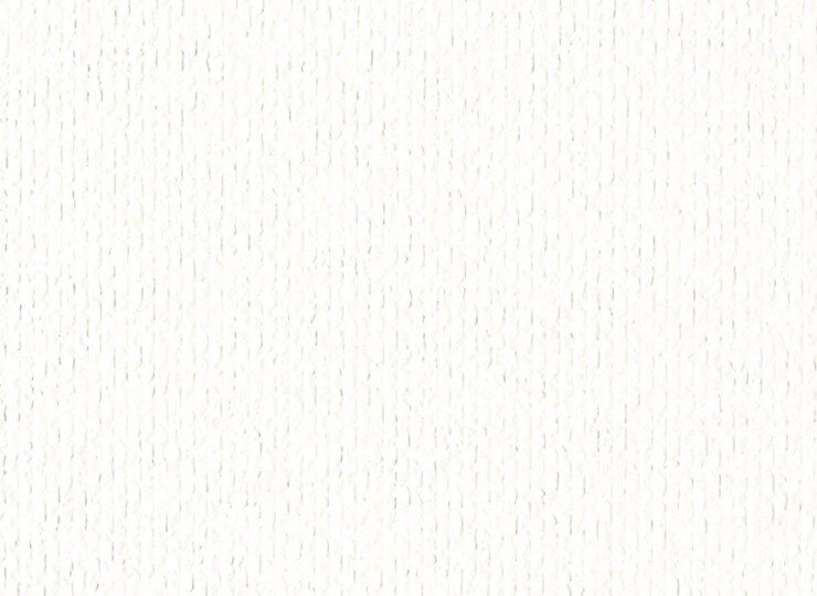 lw651