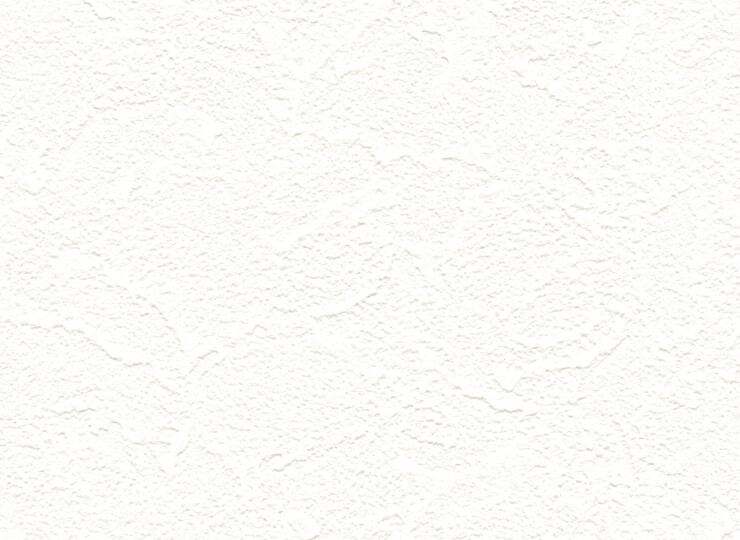 lw667