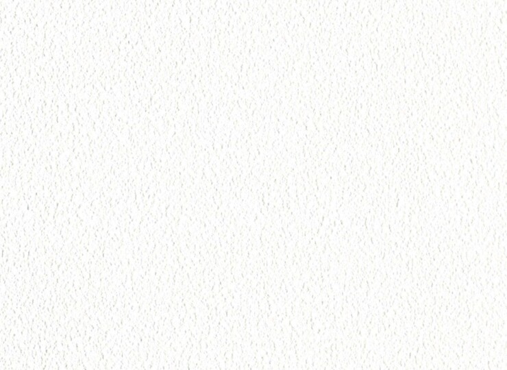 lw668