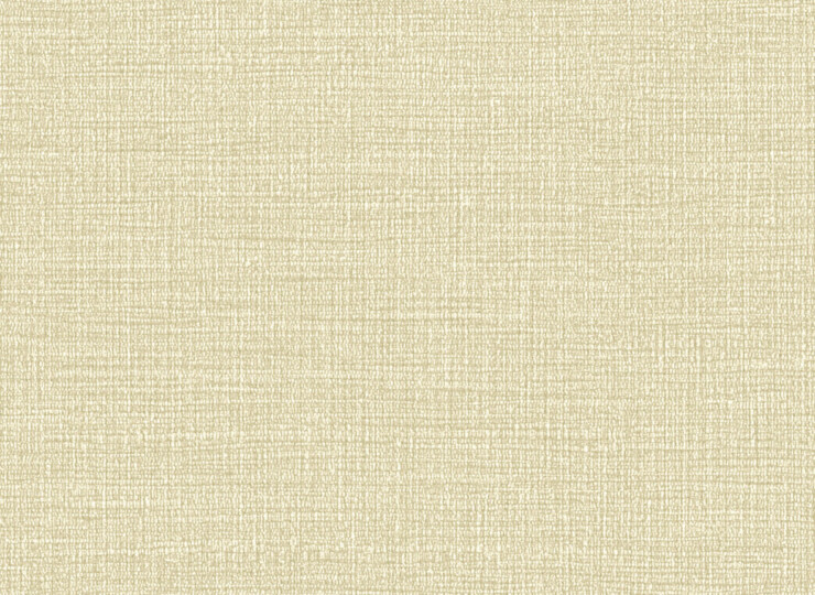 lw699
