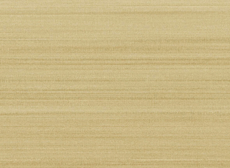 lw751