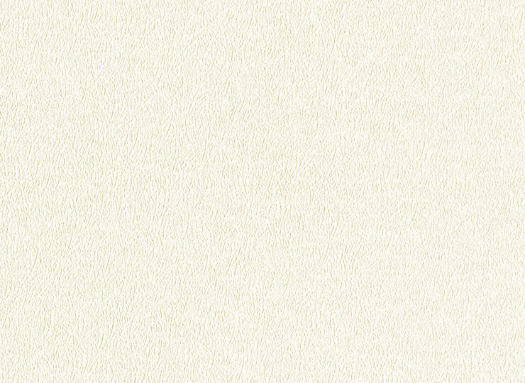 lw767